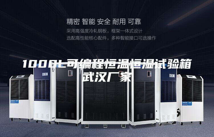 1000L可編程恒溫恒濕試驗(yàn)箱武漢廠家