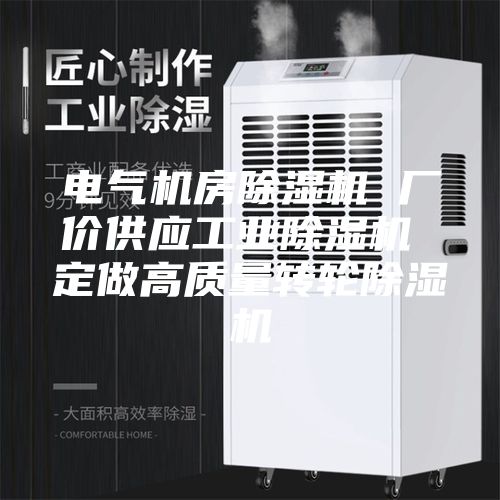 電氣機(jī)房除濕機(jī) 廠價供應(yīng)工業(yè)除濕機(jī) 定做高質(zhì)量轉(zhuǎn)輪除濕機(jī)