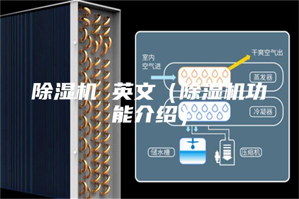 除濕機(jī) 英文（除濕機(jī)功能介紹）