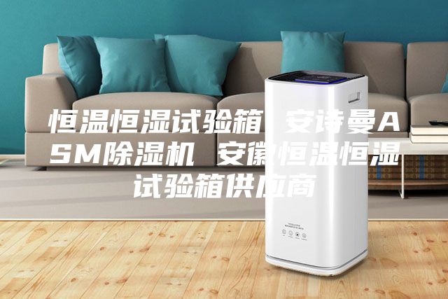 恒溫恒濕試驗箱 安詩曼ASM除濕機 安徽恒溫恒濕試驗箱供應(yīng)商