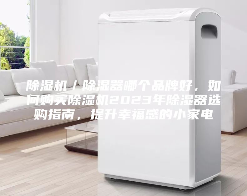 除濕機／除濕器哪個品牌好，如何購買除濕機2023年除濕器選購指南，提升幸福感的小家電