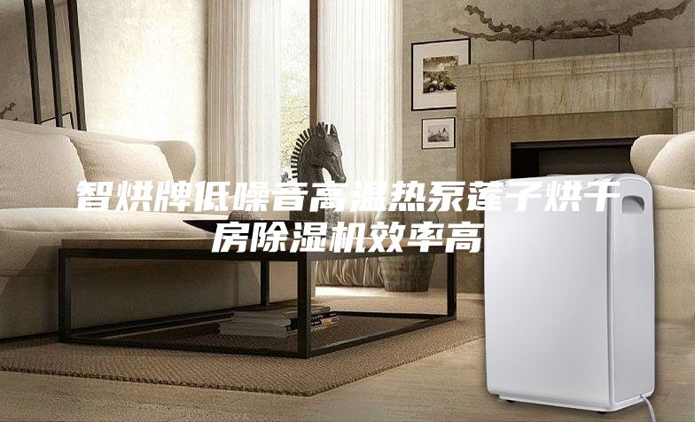 智烘牌低噪音高溫?zé)岜蒙徸雍娓煞砍凉駲C(jī)效率高