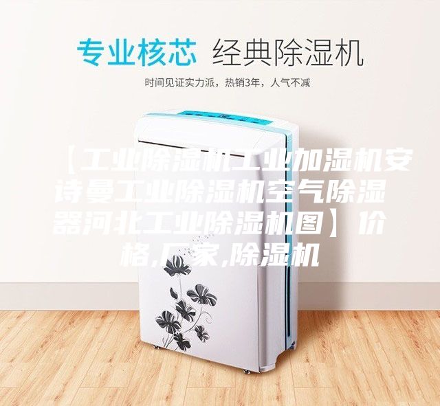 【工業(yè)除濕機工業(yè)加濕機安詩曼工業(yè)除濕機空氣除濕器河北工業(yè)除濕機圖】價格,廠家,除濕機