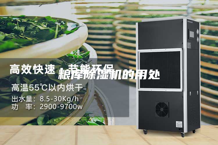 糧庫(kù)除濕機(jī)的用處
