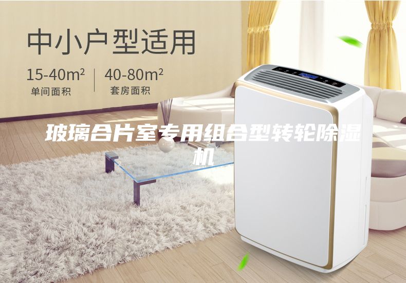 玻璃合片室專用組合型轉輪除濕機