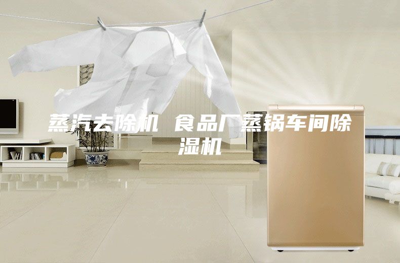 蒸汽去除機(jī) 食品廠蒸鍋車(chē)間除濕機(jī)