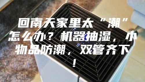 回南天家里太“潮”怎么辦？機(jī)器抽濕，小物品防潮，雙管齊下！