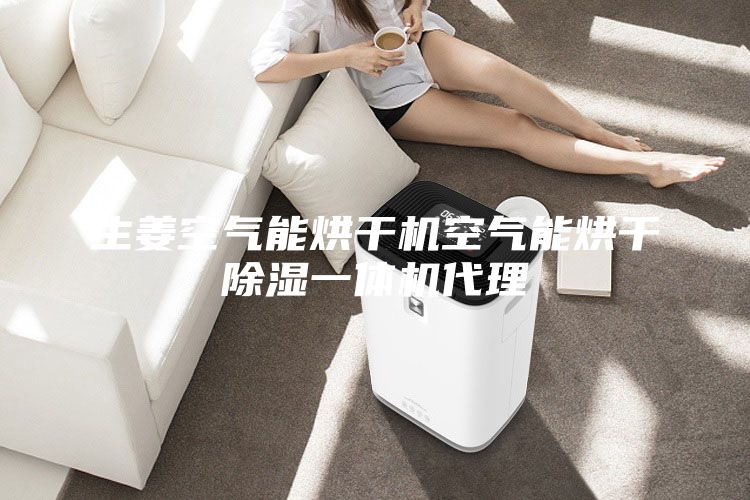 生姜空氣能烘干機空氣能烘干除濕一體機代理