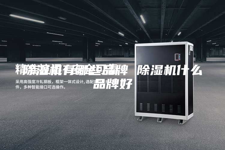 除濕機(jī)有哪些品牌 除濕機(jī)什么品牌好