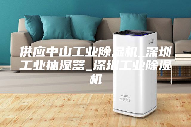 供應中山工業(yè)除濕機_深圳工業(yè)抽濕器_深圳工業(yè)除濕機