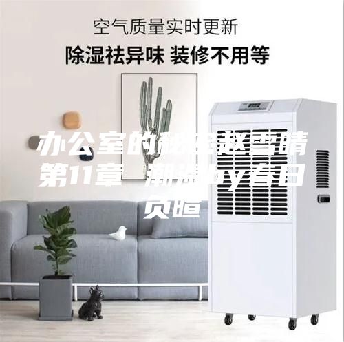 辦公室的秘密趙雪晴第11章 潮濕by春日負暄