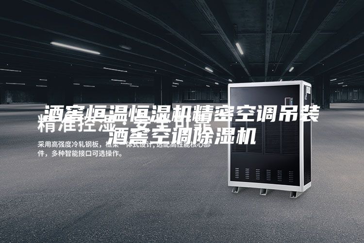 酒窖恒溫恒濕機(jī)精密空調(diào)吊裝酒窖空調(diào)除濕機(jī)