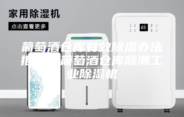 葡萄酒倉庫有效除濕辦法推薦？葡萄酒倉庫除潮工業(yè)除濕機