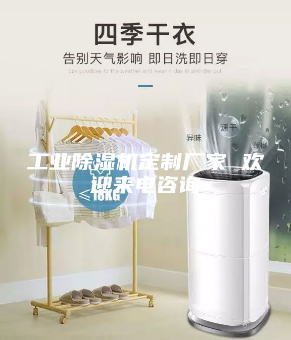 工業(yè)除濕機定制廠家 歡迎來電咨詢