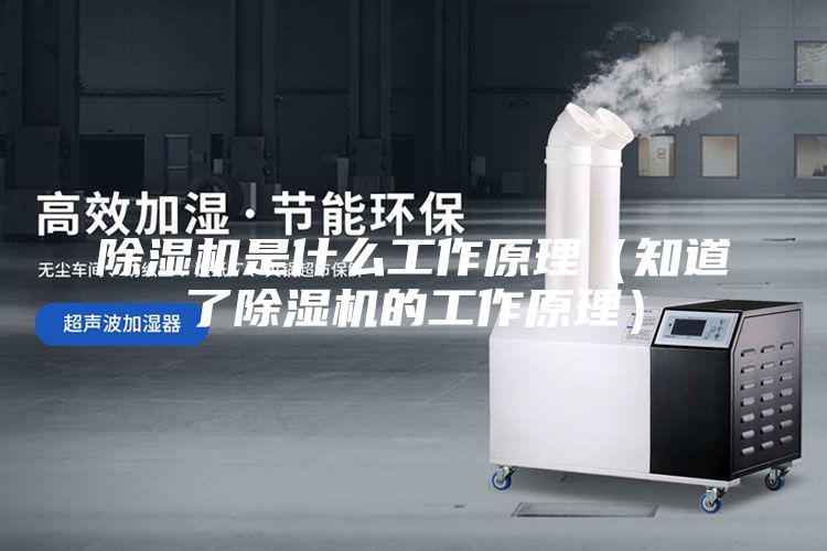 除濕機是什么工作原理（知道了除濕機的工作原理）