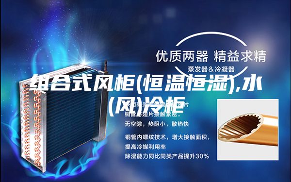 組合式風(fēng)柜(恒溫恒濕),水(風(fēng))冷柜