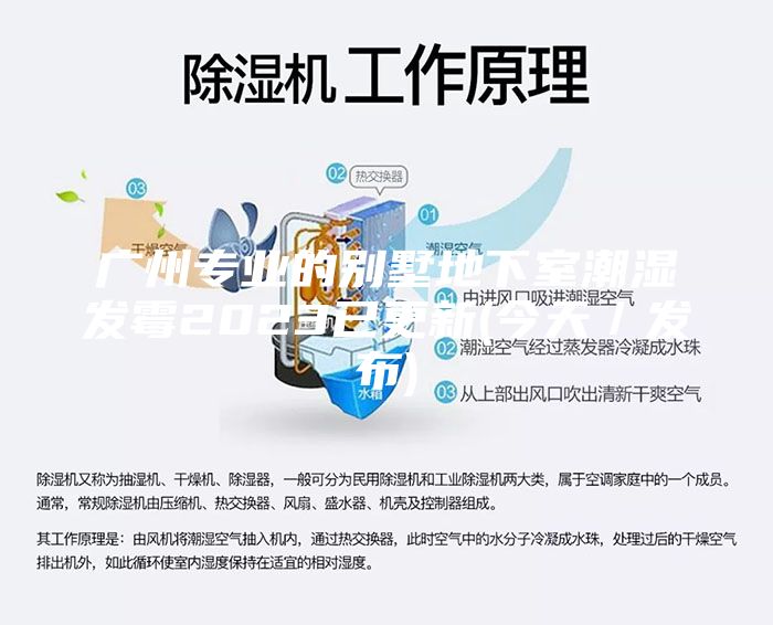 廣州專(zhuān)業(yè)的別墅地下室潮濕發(fā)霉2023已更新(今天／發(fā)布)