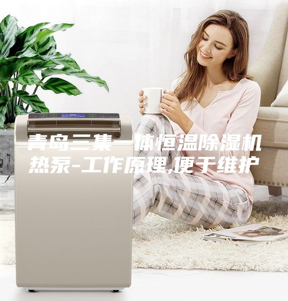 青島三集一體恒溫除濕機熱泵-工作原理,便于維護