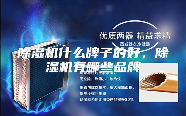 除濕機(jī)什么牌子的好，除濕機(jī)有哪些品牌