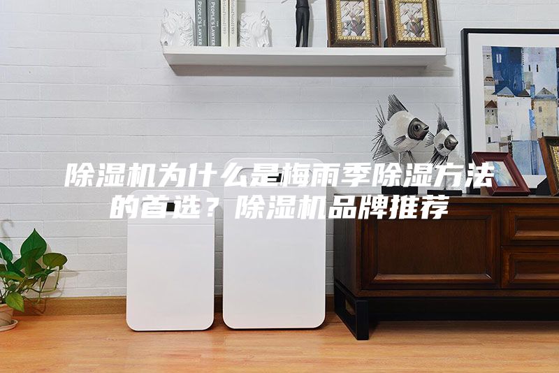 除濕機為什么是梅雨季除濕方法的首選？除濕機品牌推薦