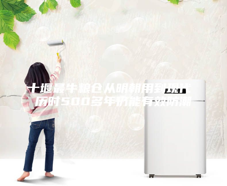 十堰最牛糧倉從明朝用到現(xiàn)代 歷時500多年仍能有效防潮