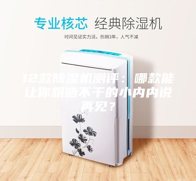 12款除濕機測評：哪款能讓你跟曬不干的小內內說再見？