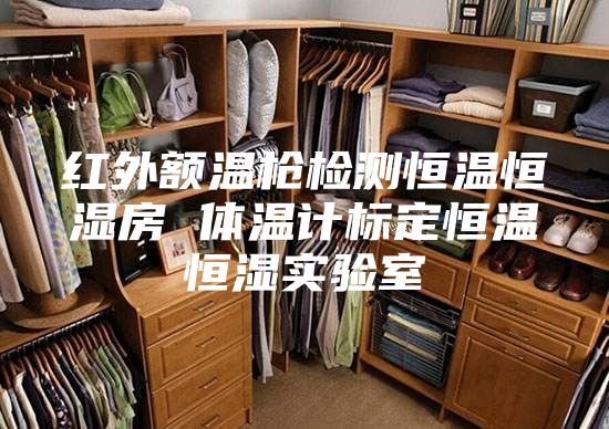 紅外額溫槍檢測恒溫恒濕房 體溫計標(biāo)定恒溫恒濕實(shí)驗(yàn)室